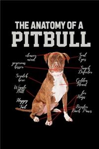 The Anatomy Of A Pitbull