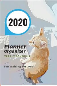 2020 ORGANIZER PLANNER Yearly Schedule