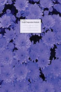 Graph Composition Notebook