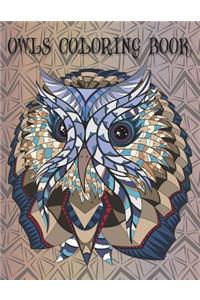 Owls Coloring Book