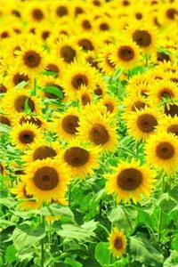 Sunflowers Notebook