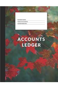 Accounts Ledger