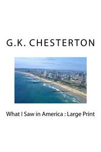 What I Saw in America
