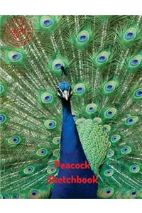 Peacock Sketchbook