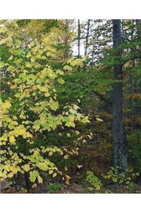 School Composition Book Autumn Yellow Leaves 130 Pages