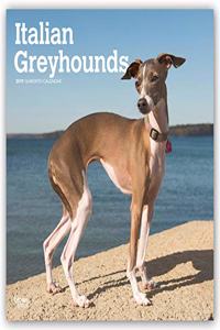Italian Greyhound 2021 Wall Calendar