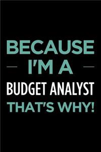 Because I'm a Budget Analyst That's Why