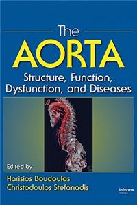 Aorta