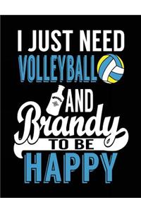 I Just Need Volleyball And Brandy To Be Happy