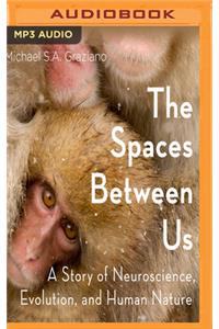 Spaces Between Us