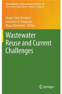 Wastewater Reuse and Current Challenges