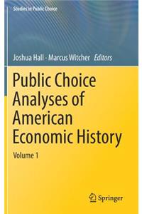 Public Choice Analyses of American Economic History