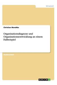 Organisationsdiagnose und Organisationsentwicklung an einem Fallbeispiel