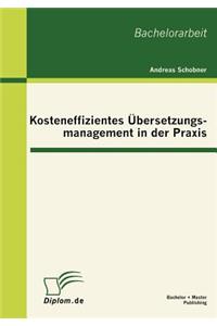 Kosteneffizientes Übersetzungsmanagement in der Praxis