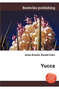 Yucca