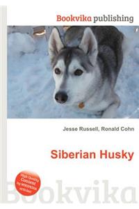 Siberian Husky