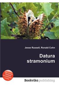 Datura Stramonium