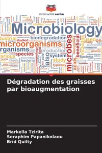 Dégradation des graisses par bioaugmentation