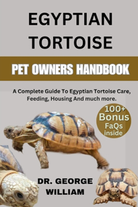 Egyptian Tortoise