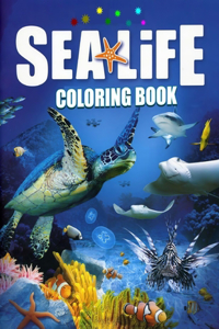 Sea Life Coloring Book