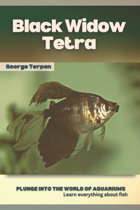Black Widow Tetra