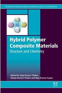Hybrid Polymer Composite Materials: Structure and Chemistry