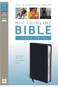 Thinline Bible-NIV-Large Print