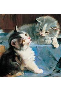 Memo Block: Kittens