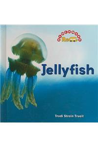 Jellyfish