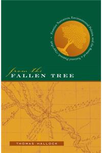 From the Fallen Tree