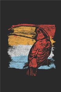 Toucan