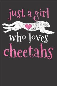 Cheetah Gift Notebook