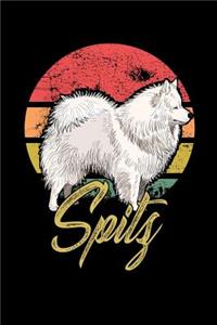 Spitz