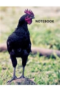 College Ruled Notebook