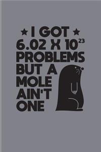 I Got 6.02 x 10²3 Problems But A Mole Ain't One