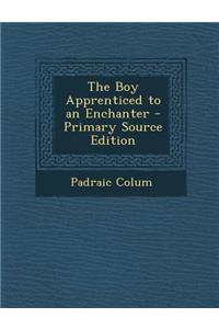 The Boy Apprenticed to an Enchanter