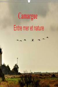 Camargue Entre Mer Et Nature 2017