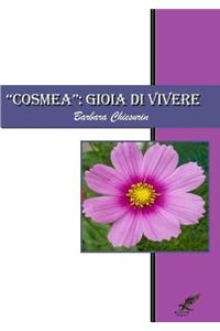 Cosmea -Gioia Di Vivere-