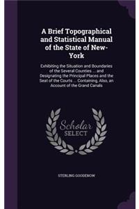 A Brief Topographical and Statistical Manual of the State of New-York