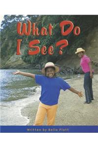 Gear Up, What Do I See, Grade K, Single Copy