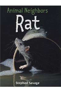 Rat