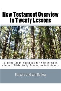 New Testament Overview In Twenty Lessons