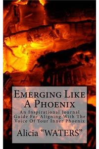 Emerging Like A Phoenix