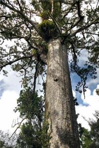 Tane Mahuta Kauri Tree in Waipoua Forest New Zealand Journal