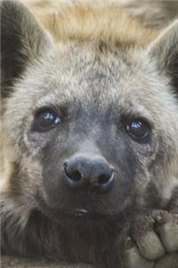 The Hyena Cub Journal