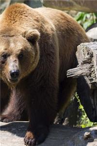Well Hello There European Brown Bear Journal