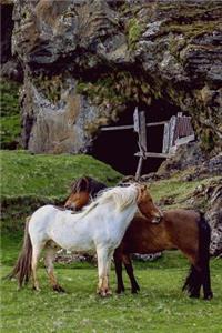 Two Gorgeous Horses in a Green Pasture Journal