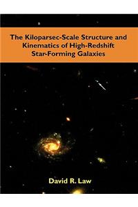 Kiloparsec-Scale Structure and Kinematics of High-Redshift Star-Forming Galaxies