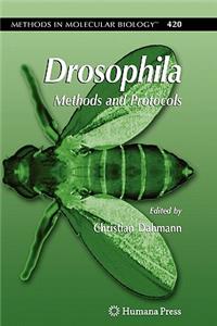 Drosophila