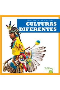 Culturas Diferentes (Different Cultures)